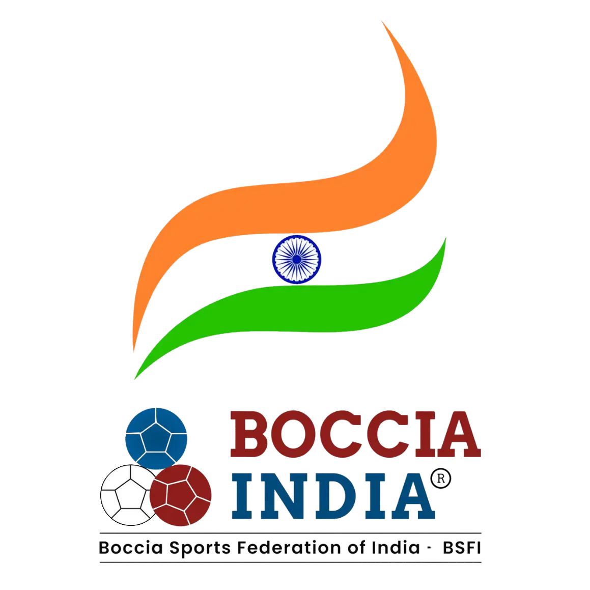 boccia india